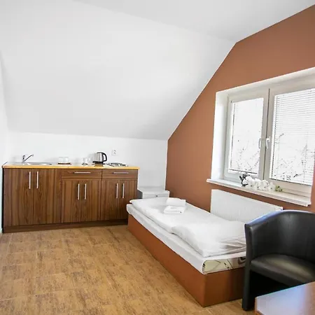 Vion Plzen