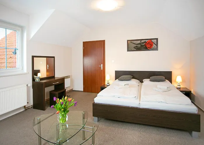 Vion Pensión 3*